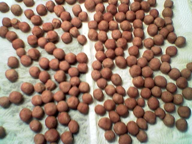 Bild in voller Grsse ffnen --> klick!